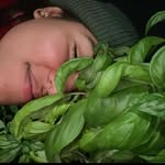 basil_papi_212 profile picture