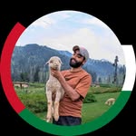 basit._59 profile picture