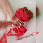 basitqais profile picture