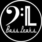 bassleaks profile picture