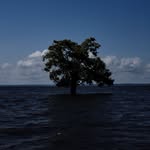 bastosgallery profile picture