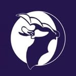 batconservationtrust profile picture