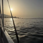 bateau_aryane_balade profile picture