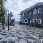 battersea_lodge profile picture