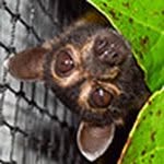batusi.nights profile picture