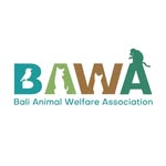bawabali_official profile picture