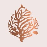 bawahreserve profile picture