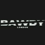 bawdy.sl profile picture