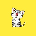bawsewings profile picture