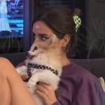 bayandahdah profile picture