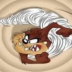 baybee1tazz872 profile picture
