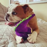 baybeeque profile picture