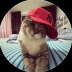 bayhaqiee___ profile picture