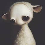 bayleycorman profile picture