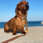 bayton092 profile picture