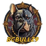 bcbullz9 profile picture