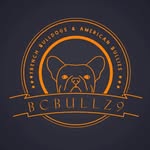 bcbullz9_backup profile picture