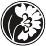 bd_beautydirection profile picture