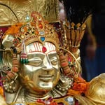 bda__dev__pundrik__rishi___ profile picture