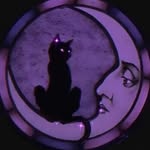 bdsabbi profile picture