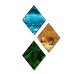 beachswitch profile picture