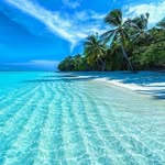 beachypassports profile picture