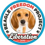 beaglefreedom profile picture