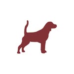 beagleoficial profile picture