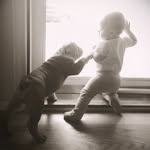 bean_n_bullie profile picture
