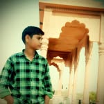 bear.4475139 profile picture