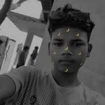 bear.568089 profile picture