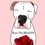 bear.the.blind.pit profile picture
