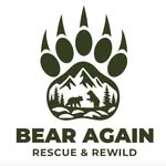 bear_again profile picture