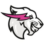 beastphilanthropy profile picture
