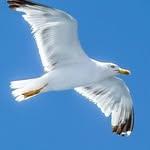 beatoeftihio profile picture