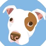 beaubeethedog profile picture