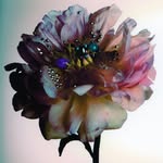 beaudestudio profile picture