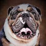 beaumont_wrinkles profile picture