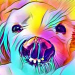 beautiful.champion profile picture