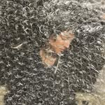 beautiful_garbage_creatives profile picture