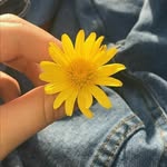 beautifultoeyes profile picture