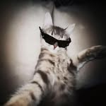 beauty_.933 profile picture