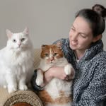 beautynthebean profile picture