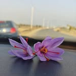 beauty_of_kashmir profile picture