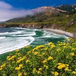 beautyofnature65990 profile picture