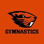 beavergym profile picture