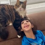beceriklianneeee profile picture