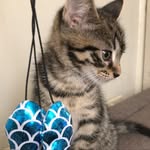 beckypoostchi profile picture