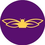 bee.better.company profile picture