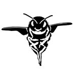 bee.steez profile picture
